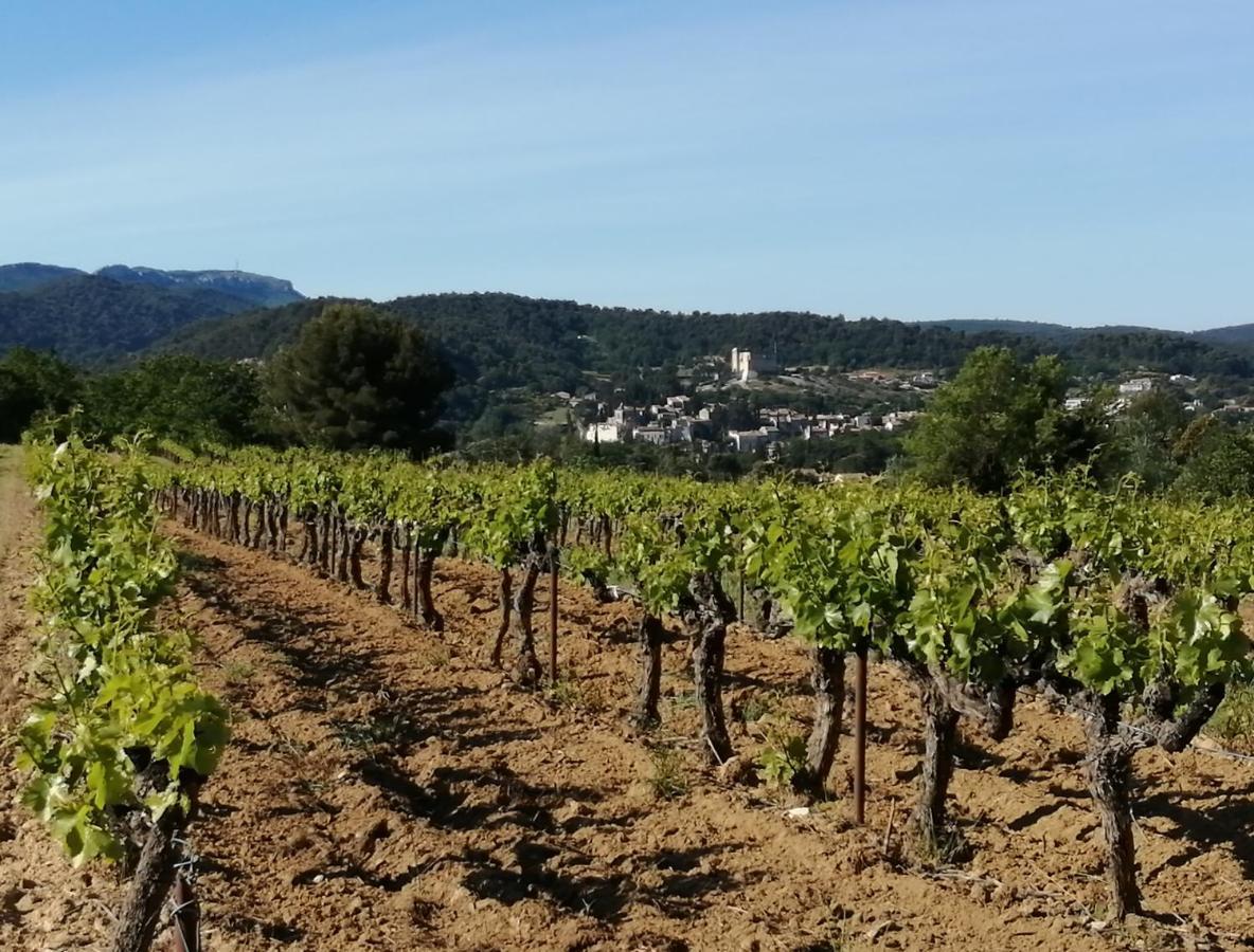 Au Villadior - Vaison La Romaine Esterno foto